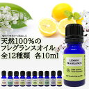 【2点購入で薔薇バーム】 &SH アロマ ブレンド ( ブレンド オイル ) 100%自然由来 フレグランスオイル 10ml アロマオイル [ 香水 すずらん ローズ ジャスミン バニラ カモミール ラベンダー オレンジ エッセンシャルオイル精油 と共に人気 ] +lt3+ tg_smc