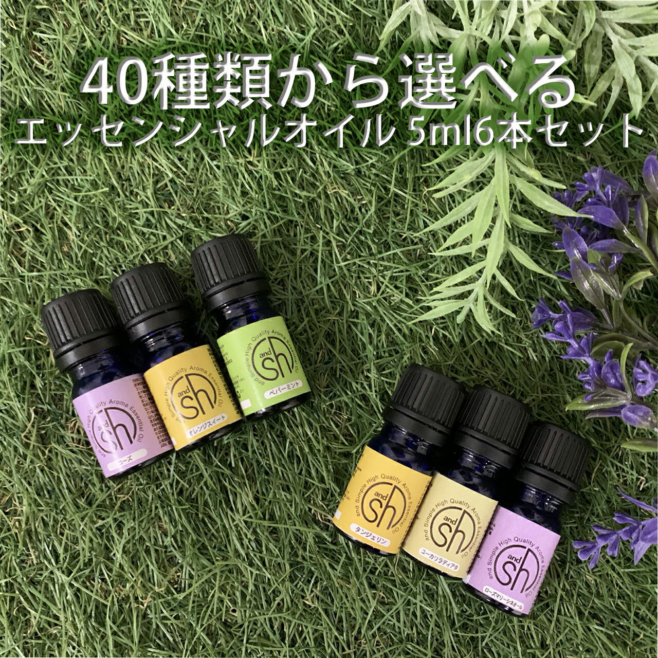  &SH アロマ スターター セット 5 エッセンシャルオイル 5ml×6本 セット アンドエスエイチ tg_smc