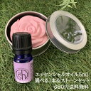 【2点購入で薔薇バーム】 &SH 【AEAJ表示基準適合認定精油】アロマ スターター セット 6 エッセンシャルオイル 5ml ×1本 とアロマ ストーン セット アンドエスエイチ [ アロマオイル 夜 おしゃれ 無添加 天然 香り 手作り アロマセット 精油 ]tg_smc