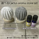 【2点購入で薔薇バーム】 &SH おしゃれ シンプル アロマストーンセット サボテン オーガニック エッセンシャルオイル( 精油 )5ml1本付 [ アロマオイル 自然コンクリート 石膏 アロマディフューザー ナチュラル プレゼント ギフト 贈り物 誕生日 ] tg_smc +lt3+