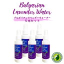 【2点購入でプレゼント】 &SH 100%ピュア オーガニック ラベンダーウォーター 500ml (100ml×5本セット) 芳香蒸留水 ラベンダー水 [ フローラルウォーター アロマウォーター ハーブウォーター 精油 アロマ コスメ 好きに ラヴェンダー ]【 送料無料 】 +lt3+