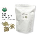 【2点購入で香料GET】 &SH 浄化用 ホワイトセージ カリフォルニア産 直輸入 無農薬 100g お試し サイズ 枝付き クラスター & リーフ & クラッ...
