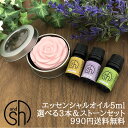 【2点購入で薔薇バーム】 &SH 【AEAJ表示基準適合認定精油】アロマ スターター セット 1 エッセンシャルオイル 5ml ×3本 とアロマストーン セット アンドエスエイチ [ 夜 おしゃれ 無添加 天然 香り アロマセット 化粧品 精油 アロマオイル ]tg_smc