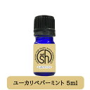 【2点購入で薔薇バーム】 &SH 【AEAJ表示基準適合認定精油】100%ピュア アロマ エッセンシャルオイル ( 精油 ) ユーカリペパーミント 5ml アロマオイル [ 夜 おしゃれ 無添加 天然 香り コスメ 石鹸 石けん 材料 素材 ]【 定形外 送料無料 】 +lt3+