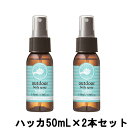 【2点購入で薔薇バーム】 パーフェクトポーション アウトドアボディスプレー ハッカ 50mL ×2本セット [ PERFECT POTION ボディケア ボディスプレー ルームスプレー ハーブ アロマ 薄荷 ハッカの香り ]【 定形外 送料無料 】