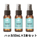 【2点購入でラベンダー】 パーフェクトポーション アウトドアボディスプレー ハッカ 50mL ×3本セット [ PERFECT POTION ボディケア ボディスプレー ルームスプレー ハーブ アロマ 薄荷 ハッカの香り ]【 定形外 送料無料 】