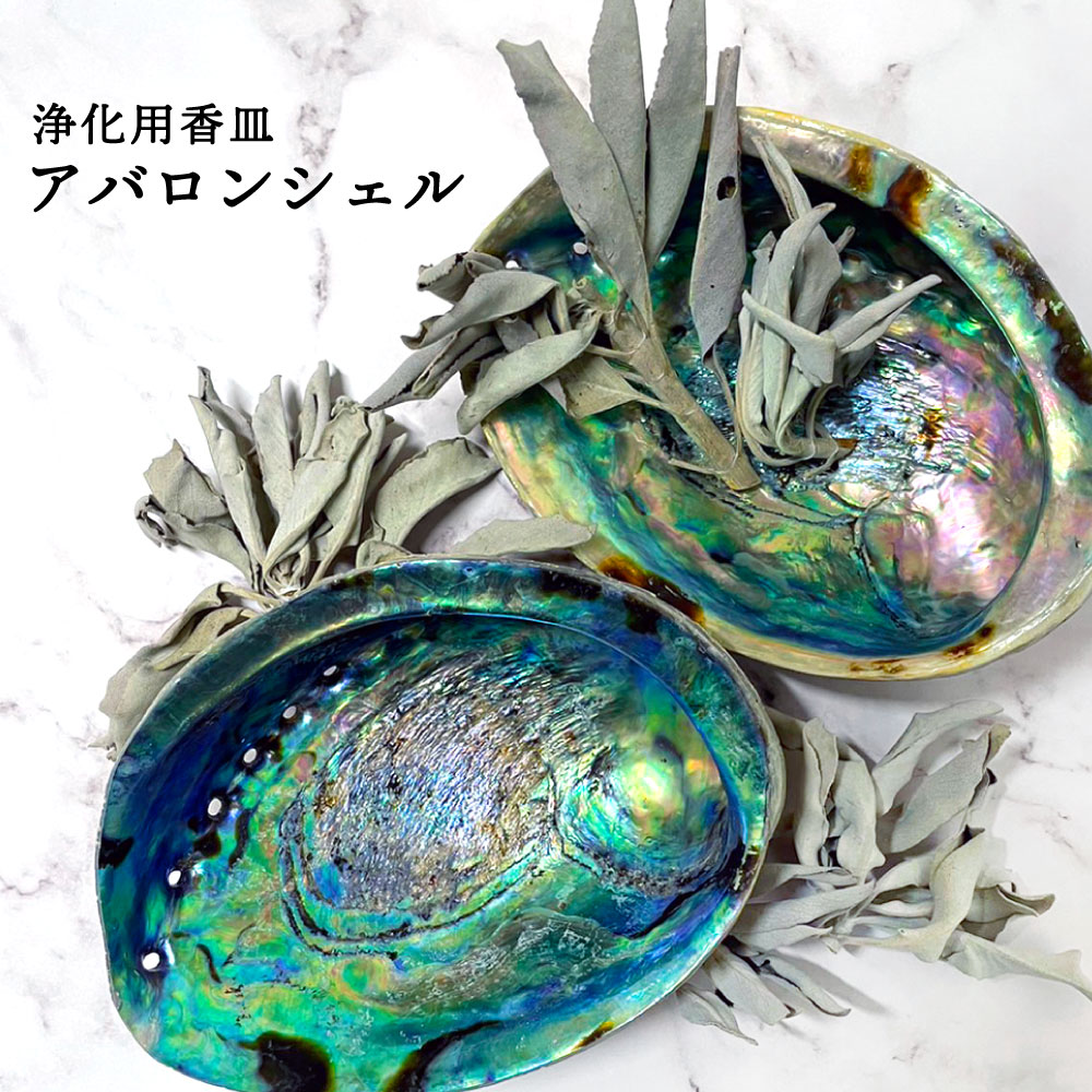 【2点購入で香料GET】 ホワイトセージ 浄化用 アバロンシェル ニュージーランド産 10〜14cm 片面磨き ポリッシュ仕上げ &SH 浄化 香皿 [ 部屋 ...