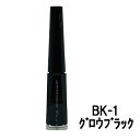 【2点購入で香料GET】カネボウ ケイト コンクジェルアイライナー WP BK-1 グロウブラック [ kanebo kate アイライナー リキッドアイライナ...