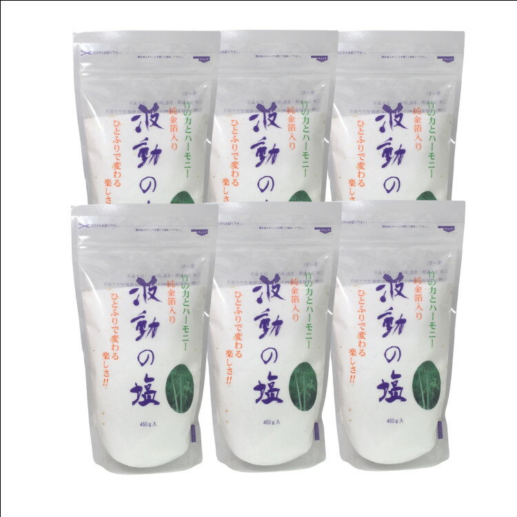 【2点購入で香料GET】【あす楽】 波動法製造 波動の塩 450g 6個セット [ 邪気払い 塩 食塩 料理 調味料 あく抜き 歯磨き バスソルト 厄除け お祓...