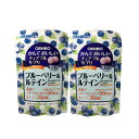 【2点購入で薔薇バーム】 オリヒロ かんでおいしいチュアブルサプリ ブルーベリー & ルテイン ブルーベリー味 30日分 2個セット [ ORIHIRO サプリ サプリメント 視力 目 ] 【 定形外 送料無料 】