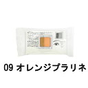 【2点購入でラベンダー】 オルビス ツイングラデーションアイカラー N 09 オレンジプラリネ ケース入り [ オルビス 化粧品 ORBIS おるびす アイシャドウ アイシャドー アイメイク アイカラー ラメ 華やか 発色 ブルべ イエベ ] +lt7+【 定形外 送料無料 】