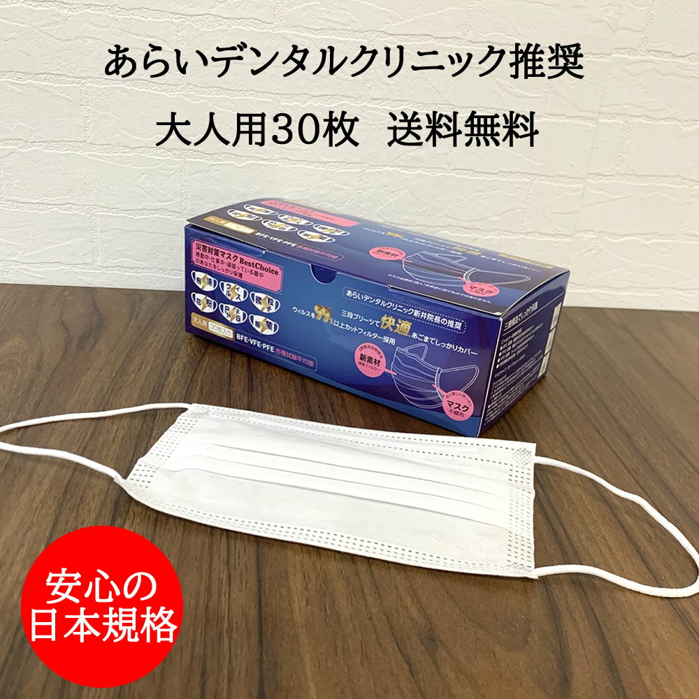 【2点購入でラベンダー】【即納】 災害対策マスク 30枚 [ プリーツマスク 使い捨て マスク 使い捨てマスク 在庫あり 即納 大人用 30枚 不織布 ]【 定形外送料無料 】