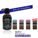 【2点購入でラベンダー】【あす楽】【メーカー公認正規品】 カラーシャンプー グロッシーブラック 300ml ブライセス ロイド ROYD カラシャン 黒 ブラック シャンプー 黒髪 暗髪 を維持したい方に ヘアカラー コスプレ 白髪 白髪カバー にも