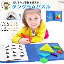 【楽天スーパーセール】タングラムパズル パズル ゲーム モンテッソーリ知育玩具 幼児 子供用 木製 教育 トラベルタングラムパズル 磁気タングラムおもちゃ IQ...