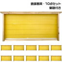 養蜂器具 10点セット 完成巣枠 巣礎付き スソ付き 巣礎 10枚 蜂の巣 蜜蜂 セイヨウミツバチ シート ラ式 ミツバチ用 養蜂設備 養蜂用具 蜂蜜箱 飼育 養蜂ツール 杉材 家養蜂箱キット 48.8*23.5cm