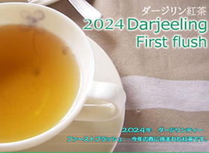 2024ダージリン春摘み3茶園セット