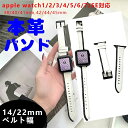 Apple Watch Series 7 SE 6 5 4 3 2 1Ή oh xg{v AbvEHb`oh xg 41 45 38 40 42 44mm iwatch7 vxg U[ rvoh Y fB[X  ȒP jp  _炩