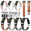 Fitbit Charge 5 oh {vxg U[  Xgoh  EȒP X|[c xg ֗ ȒPt