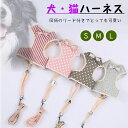 犬猫用 ハーネス リードセット 小型犬 中型犬 犬用 猫用 メッシュ 通気性 お散歩グッズ お出かけ おしゃれ 可愛い かわいい ペット用品 イヌ用 いぬ用 ネ...