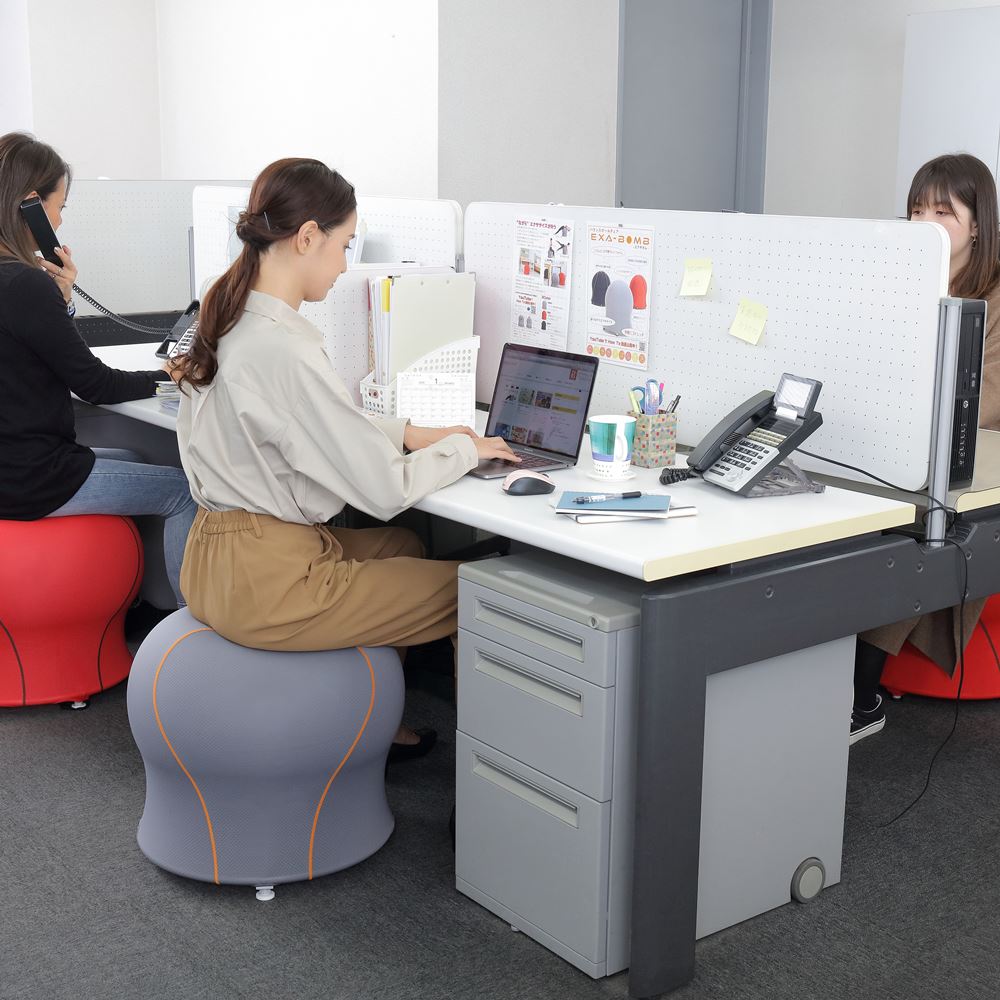 テレワーク リモートワーク 在宅ワーク おうち時間の運動不足解消に インテリアにも馴染むバランスボールチェア エクサボム 自宅で気軽にエクササイズ 体幹トレーニング ストレッチ 椅子 おしゃれ バランスボール 新生活 当店オススメ!通販格安セール情報 楽天 通販