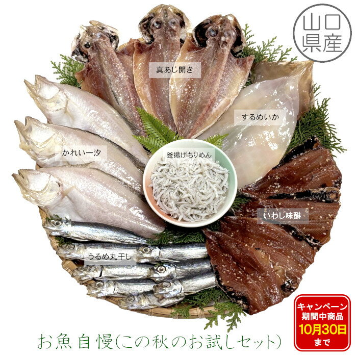 【期間限定 ／10月30日まで】6種類のセットで2,000円 !!　お試しセット　真あじ開き3枚　かれい一汐3枚　釜揚げちりめん60g　うるめやわらか干し8尾　するめいか開き1枚　イワシみりん4枚　山口県産　干物［やまぐちECエール便］のサムネイル