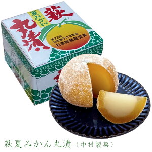 萩夏みかん丸漬　箱入　中村製菓　ふるさとの味　銘菓