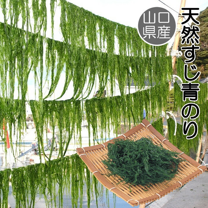 【山口県産】 天然すじ青のり8g 天然 アオノリ 青のり あおのり 焼きそば たこやき 玉子焼き ふりかけ ご飯のお供
