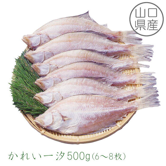 【山口県産】かれい一汐500g(6~8枚)エテカレイ 干物