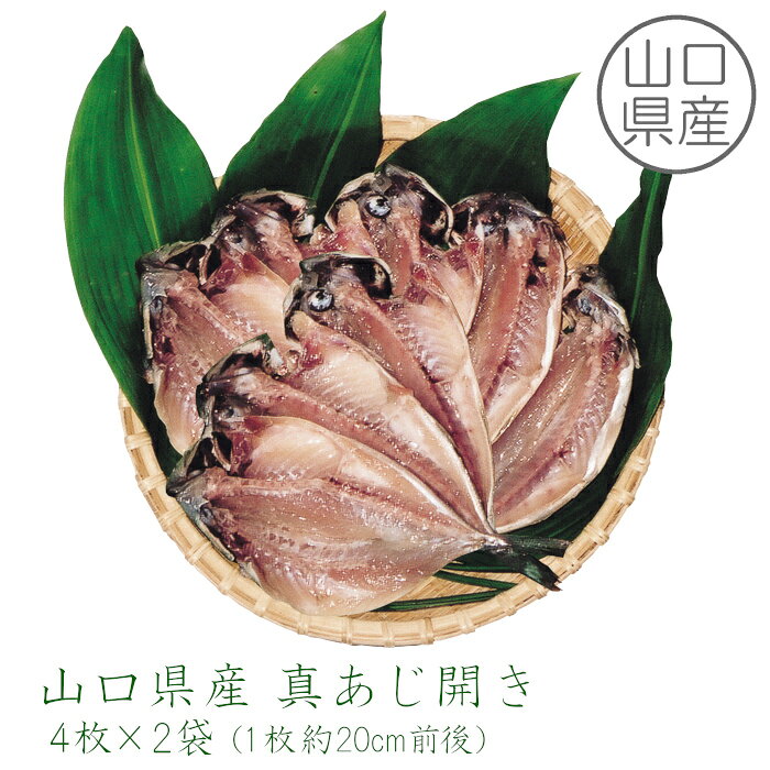 【山口県産】 真あじ開き8枚（4枚×2袋）［1枚19cm前後］ 仙崎 萩 下関 水揚げ マアジ あじ 開き 干物 ひもの 朝食 酒の肴 おかず おつまみ