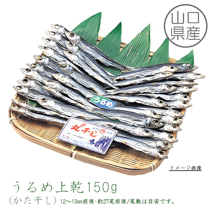 　 名称 　魚介乾製品 原材料名 ウルメイワシ（山口県産）、食塩　　　　　 内容量 150g 賞味期間 冷凍30日 保存方法 要冷凍（−18℃以下） 製造者 (株)国近商店山口県長門市東深川630-9 備考 ヤマト運輸　クール便 【山口県産】うるめ上乾150g