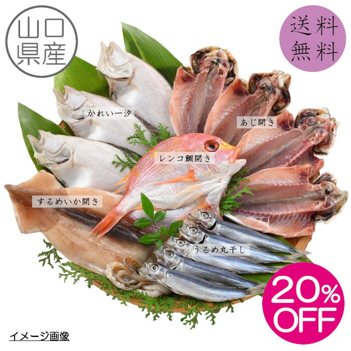 樂天商城 - 【送料無料】 【期間限定20%OFF 5,400円→4,320円】 山口魚急便［K-1］ 山口県産 あじ開き かれい一汐 連子鯛開き するめいか開き うるめ丸干し 長門 仙崎 萩 下関 水揚げ ひもの 干物 詰合せ ギフト お祝い 朝食 酒の肴 おかず おつまみ