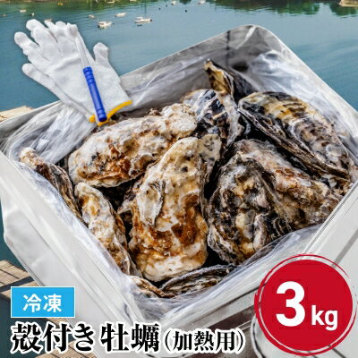 《冷凍》牡蠣の缶焼きセット3kg（瀬