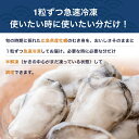 《 冷凍 》広島県 産 冷凍かき 特大粒 3L サイズ 1kg (解凍後850g/約20粒) 牡蠣 【送料無料】加熱用 かき 牡蠣 むき身 国産 カキ かき オイスター 海鮮 広島 瀬戸内海 クニヒロ お取り寄せ 大粒 取り寄せ 貝 冷凍カキ むき牡蠣 剥きかき 魚介類 グルメ 特大 超特大 1キロ