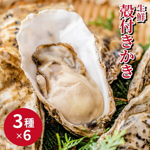殻付きかき（3種×6個） 旬のギフト お取り寄せ クニヒロ 牡蠣鍋 かき鍋 父の日 ギフト
