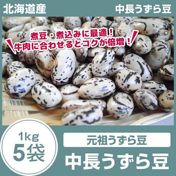 中長うずら豆 1kg×5袋 29年産 北海道産 国産 豆 カレー ビーフシチュー 煮豆 豆の煮込み