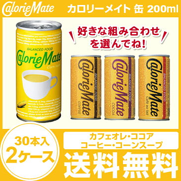 【最安値挑戦中！！】【送料無料】大塚製薬/カロリーメイト 缶 200ml×30本×2ケース