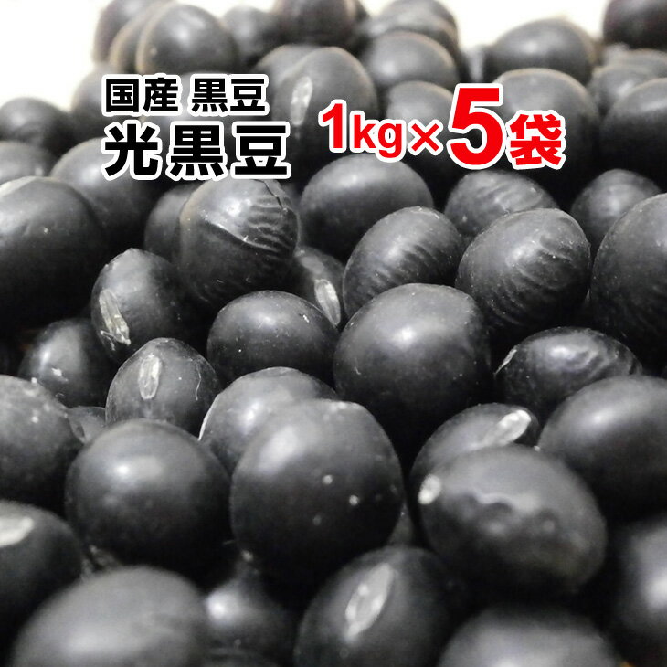 光黒豆 黒豆 5kg（1kg×5袋） 令和3年