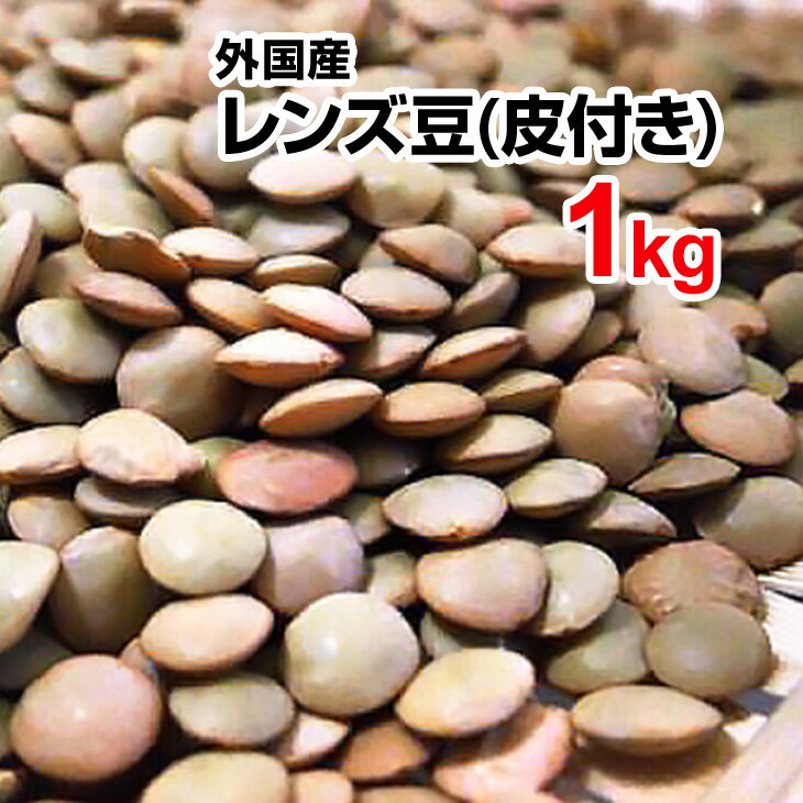 レンズ豆 皮つき 1kg 外国産 スープ 