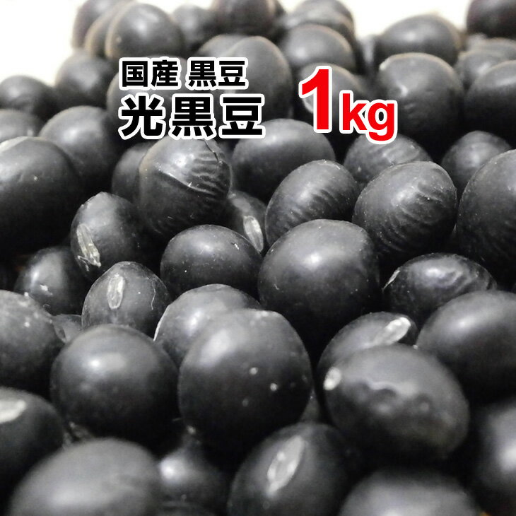 光黒豆 黒豆 1kg 令和3年産 収穫 北海