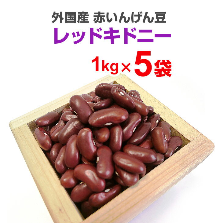 レッドキドニー 5kg 1kg×5袋 サラダ カレー スープ チリコンカン 豆煮込み トマト煮 外国産 アメリカ 金時豆 赤いんげん豆 豆