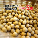 【大豆】【国産】令和3年産 鶴娘大豆 5kg(1kg×5袋)大粒 3.0サイズ