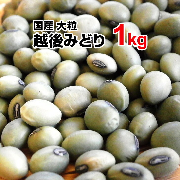 越後みどり 1kg 令和元年産 山形産 国産 大粒 豆 大豆 健康食品