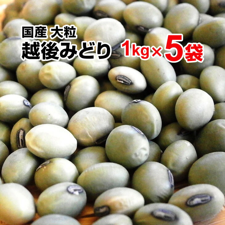 商品説明名称国産　越後みどり 産地名山形県産内容量1Kg×5袋保存方法 冷暗所又は冷蔵庫で保存備考 遺伝子組換えではありません