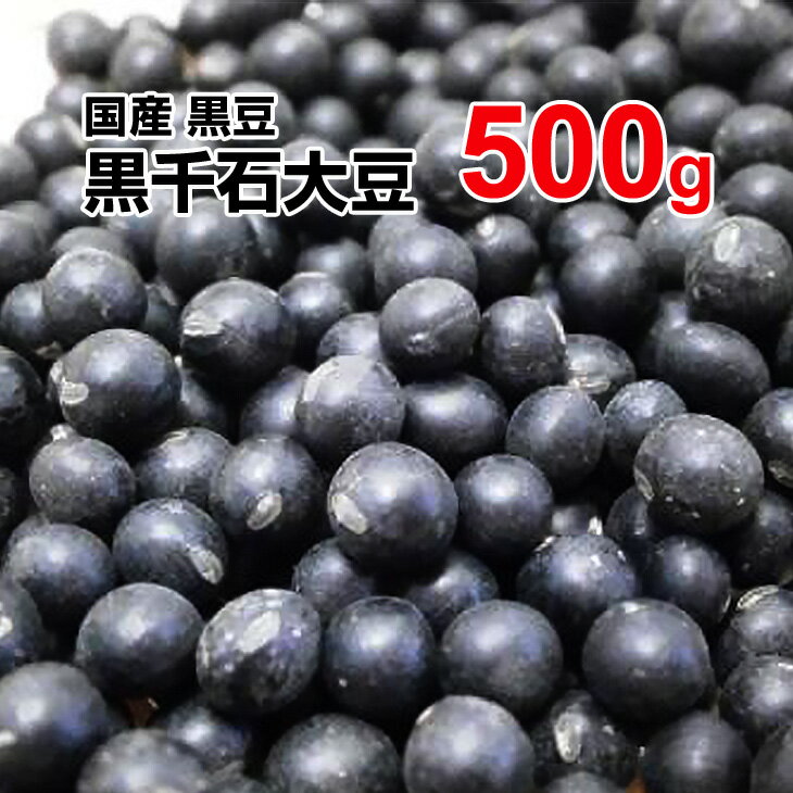 Α哤 500g kCY 29NxY ͂ ϓ T_ X[v NHi y䂤pPbgz