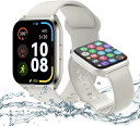 HAYLOU WATCH 2 PRO SILVER