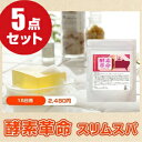 【ポイント2倍】お得な5個セット 酵素革命 スリムスパ 300g