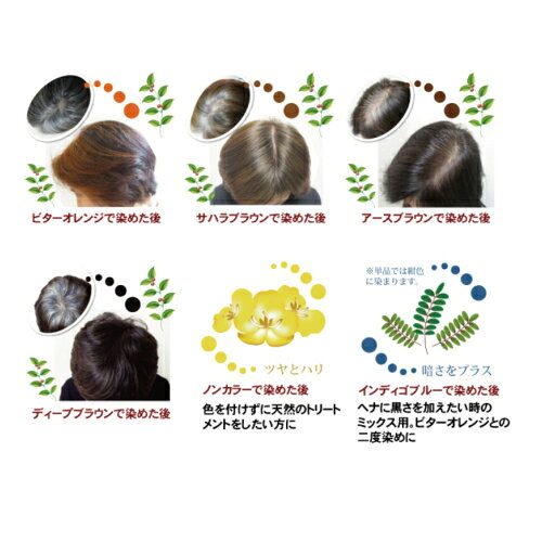 ヘアカラー ヘアマニキュア ヘナ グリーンノートヘナ オーガニータ インディゴブルー 100g 2個セット kunistyle-10010633 kunistyle サンプル画像2