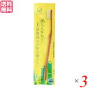歯ブラシ ハブラシ ひまし樹脂 FINE MEGURU 竹の歯ブラシ ひまし樹脂毛(ふつう)3本セット 送料無料(4)