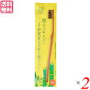【6/1(日)限定!ポイント最大8倍!】歯ブラシ ハブラシ 馬毛 FINE MEGURU 竹の歯ブラシ 花馬毛(ふつう)2本セット 送料無料(4)