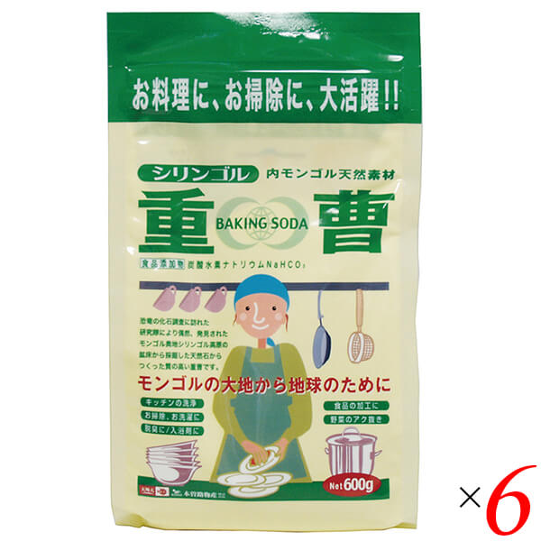重曹 天然重曹 食用 木曽路物産 天然重曹 600g 6個セット 送料無料